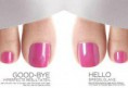 /album/galerij/shellac-2-tenen1-jpg1/
